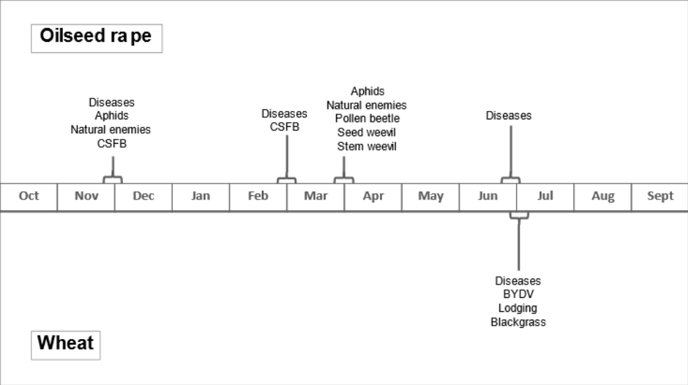 Figure 1 Timeline of sampling activity